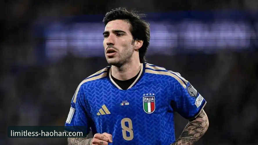 3个关键瞬间，带你复盘意大利队史首次三届无缘世界杯的悲情之夜